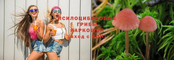 гидропоника Богданович