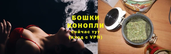 гидропоника Богданович